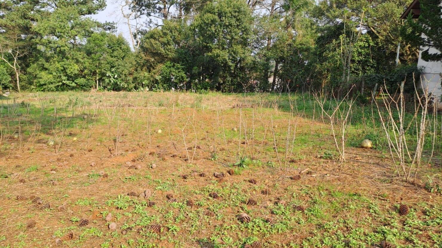 Terreno, 425 m² - Foto 3