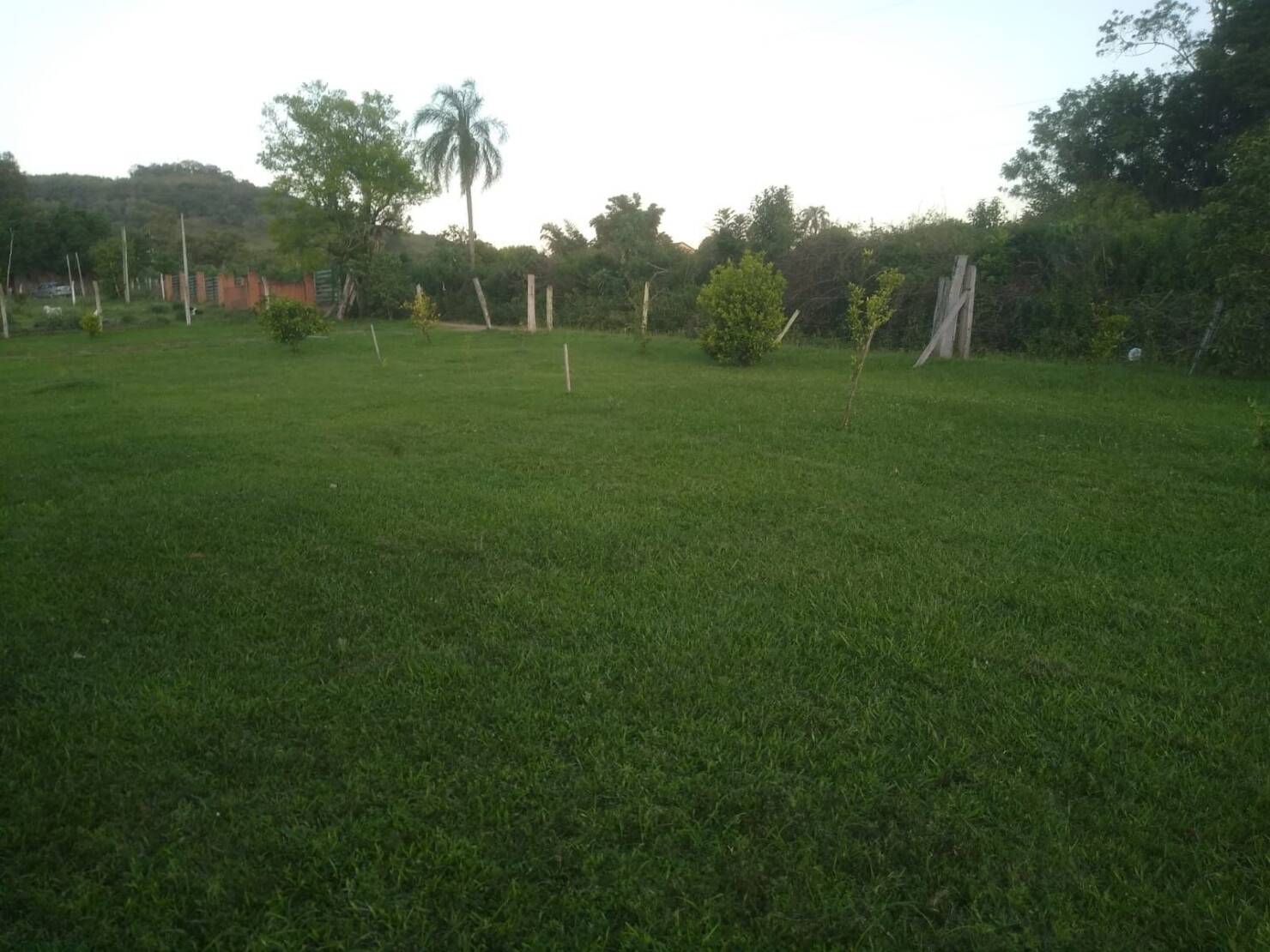 Chácara à venda com 2 quartos, 7546m² - Foto 3