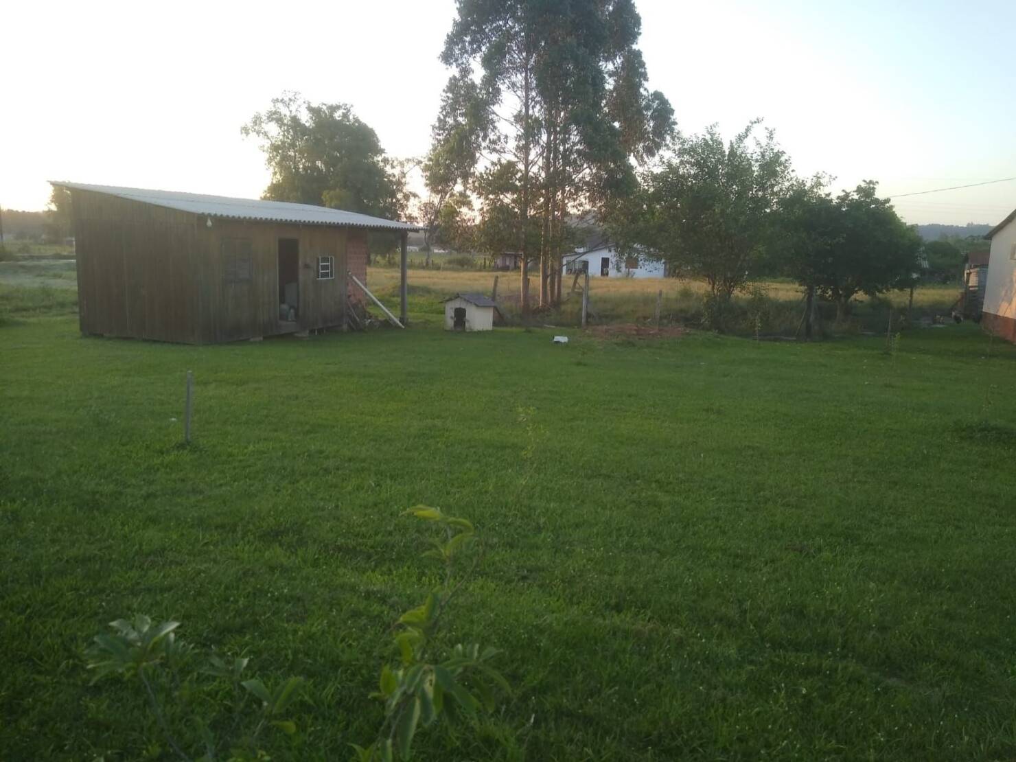 Chácara à venda com 2 quartos, 7546m² - Foto 8