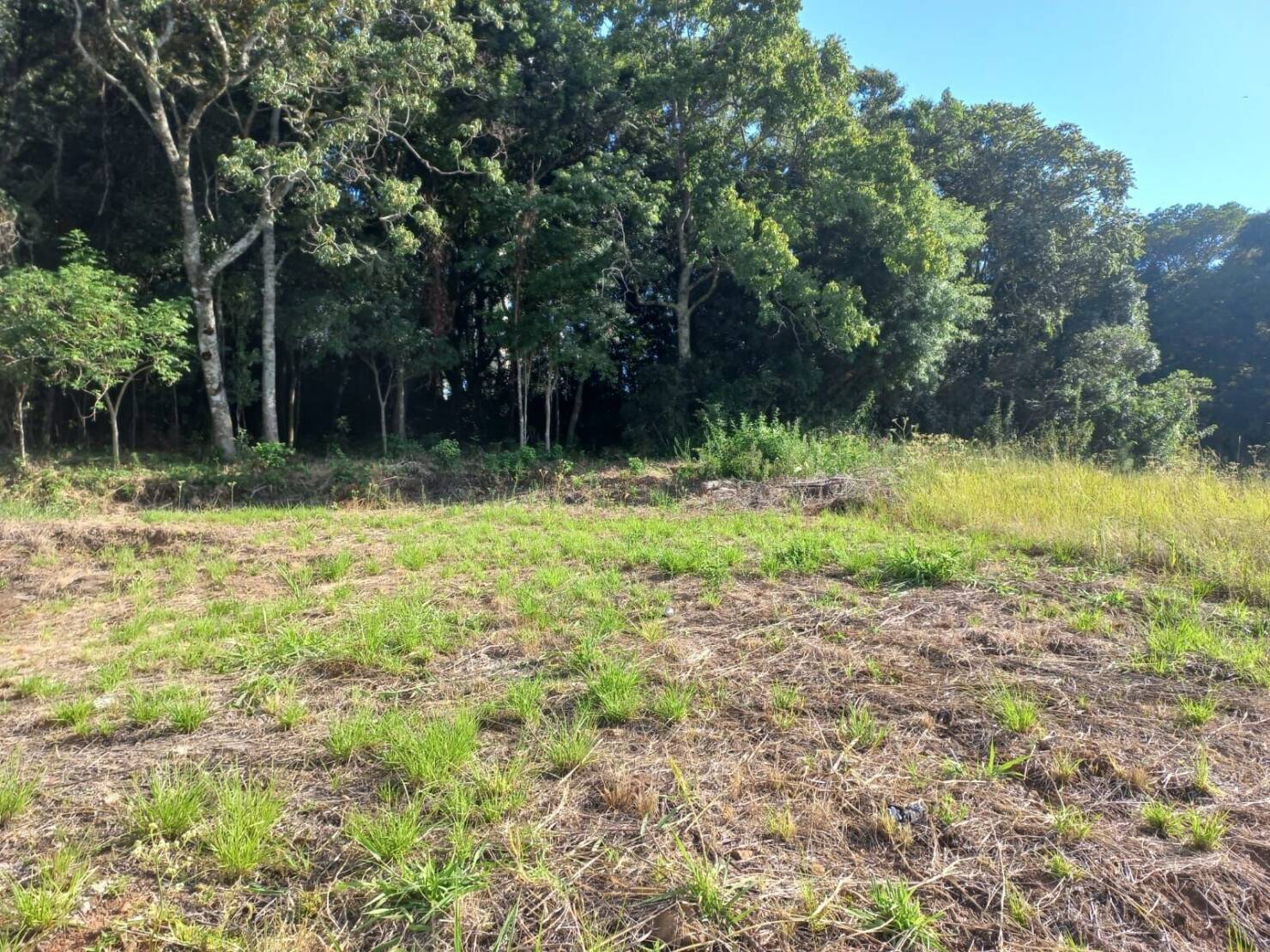 Terreno, 420 m² - Foto 1