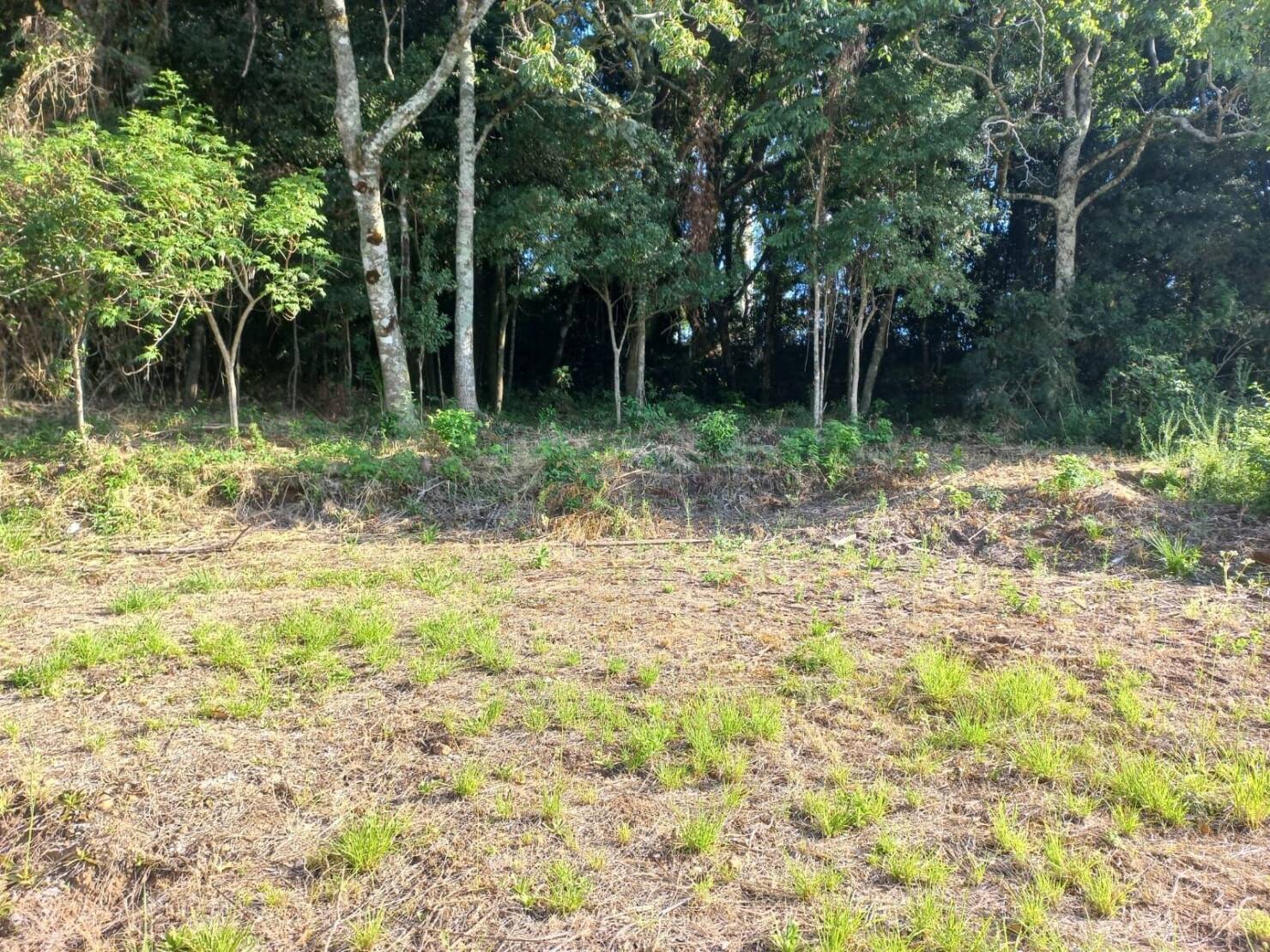 Terreno, 420 m² - Foto 2