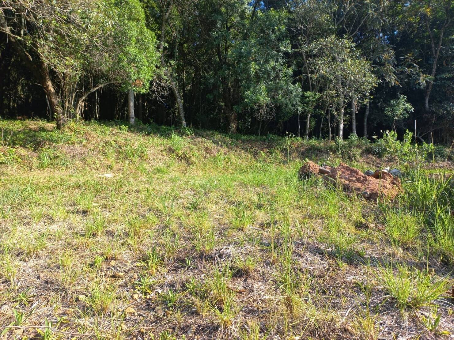 Terreno, 420 m² - Foto 3