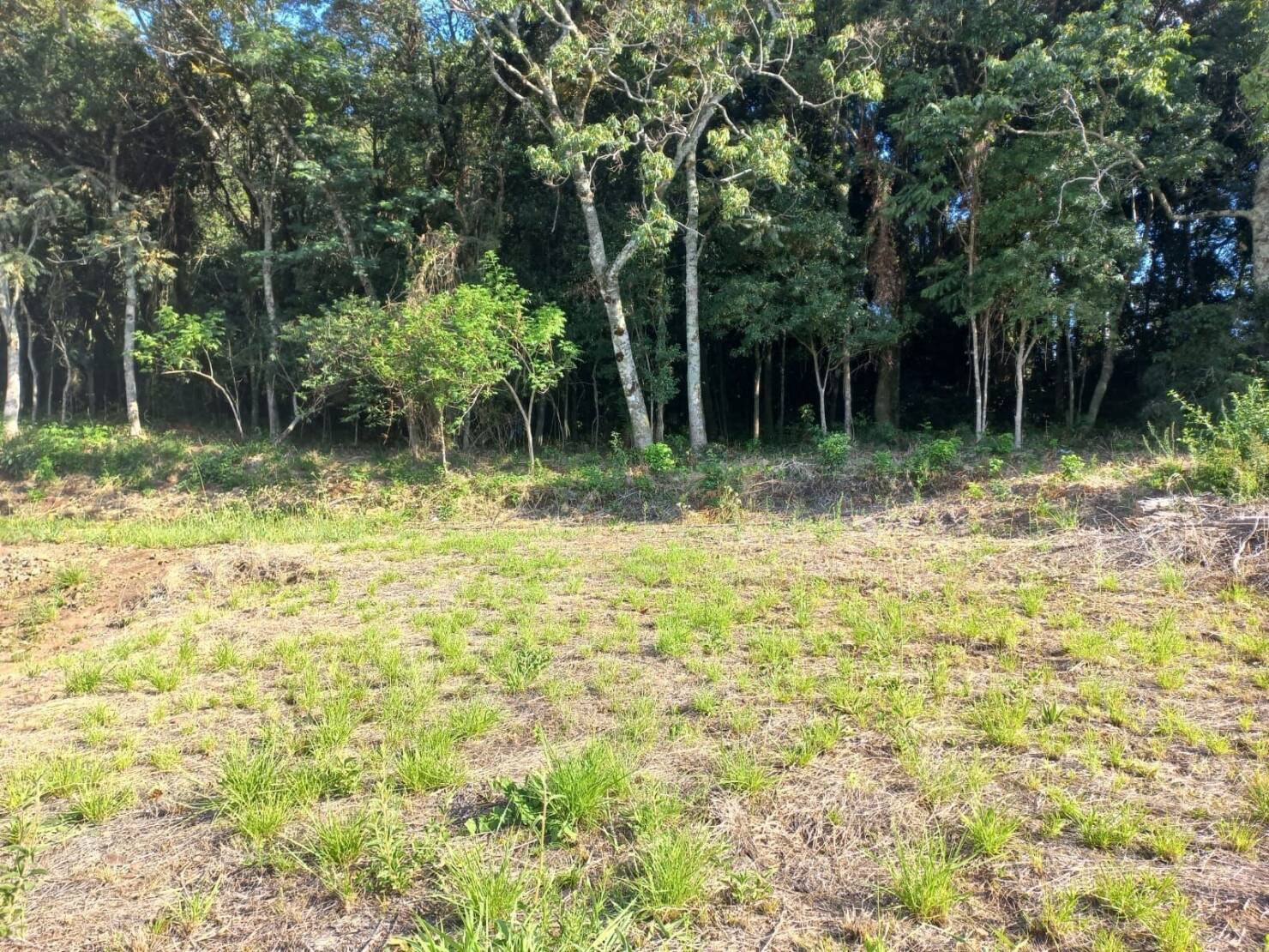 Terreno à venda, 420m² - Foto 3