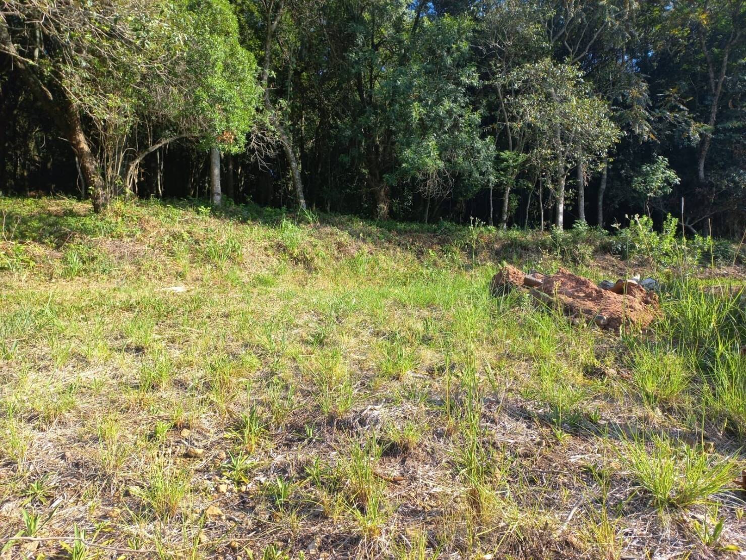 Terreno à venda, 420m² - Foto 4