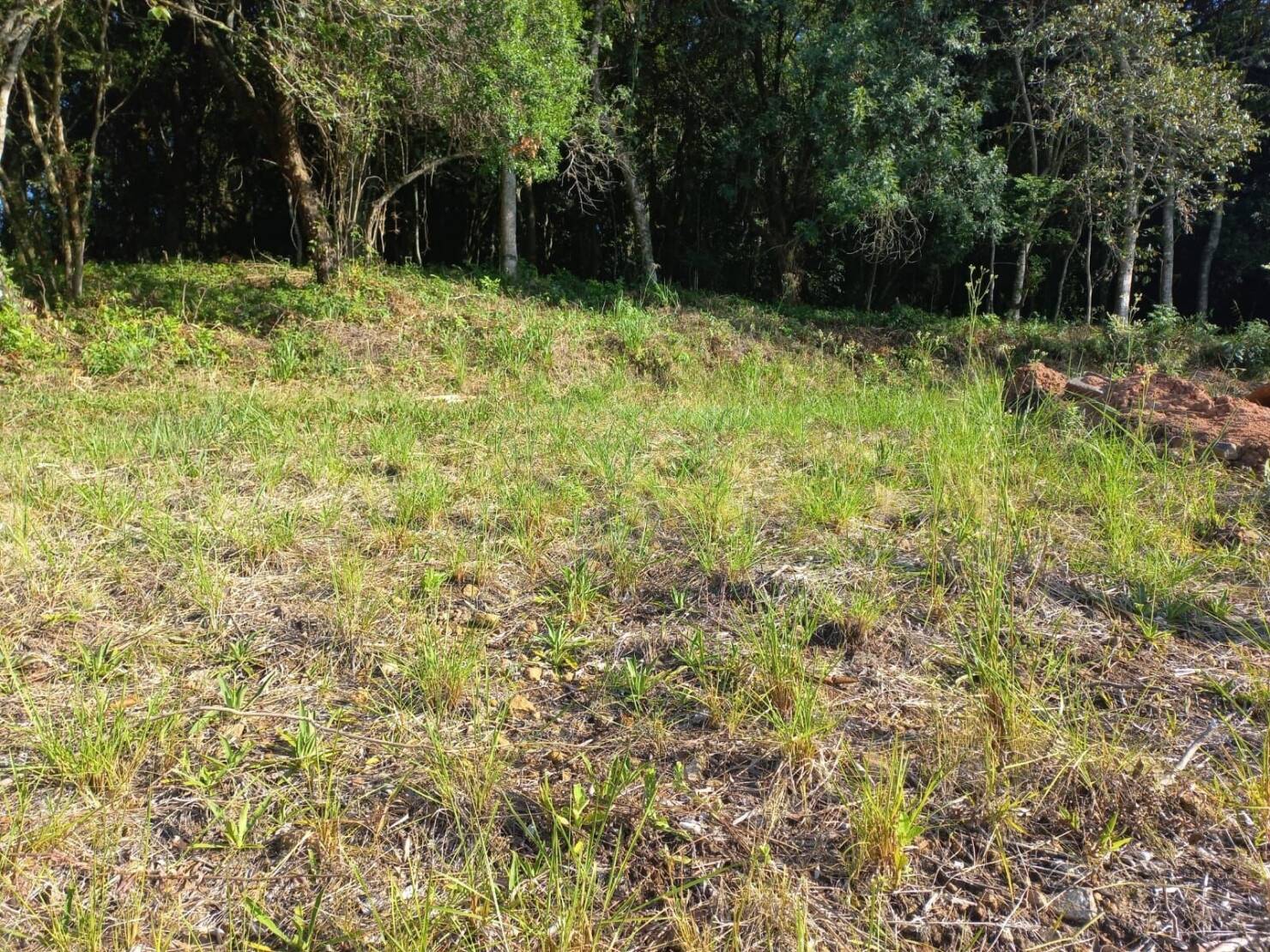 Terreno à venda, 420m² - Foto 5