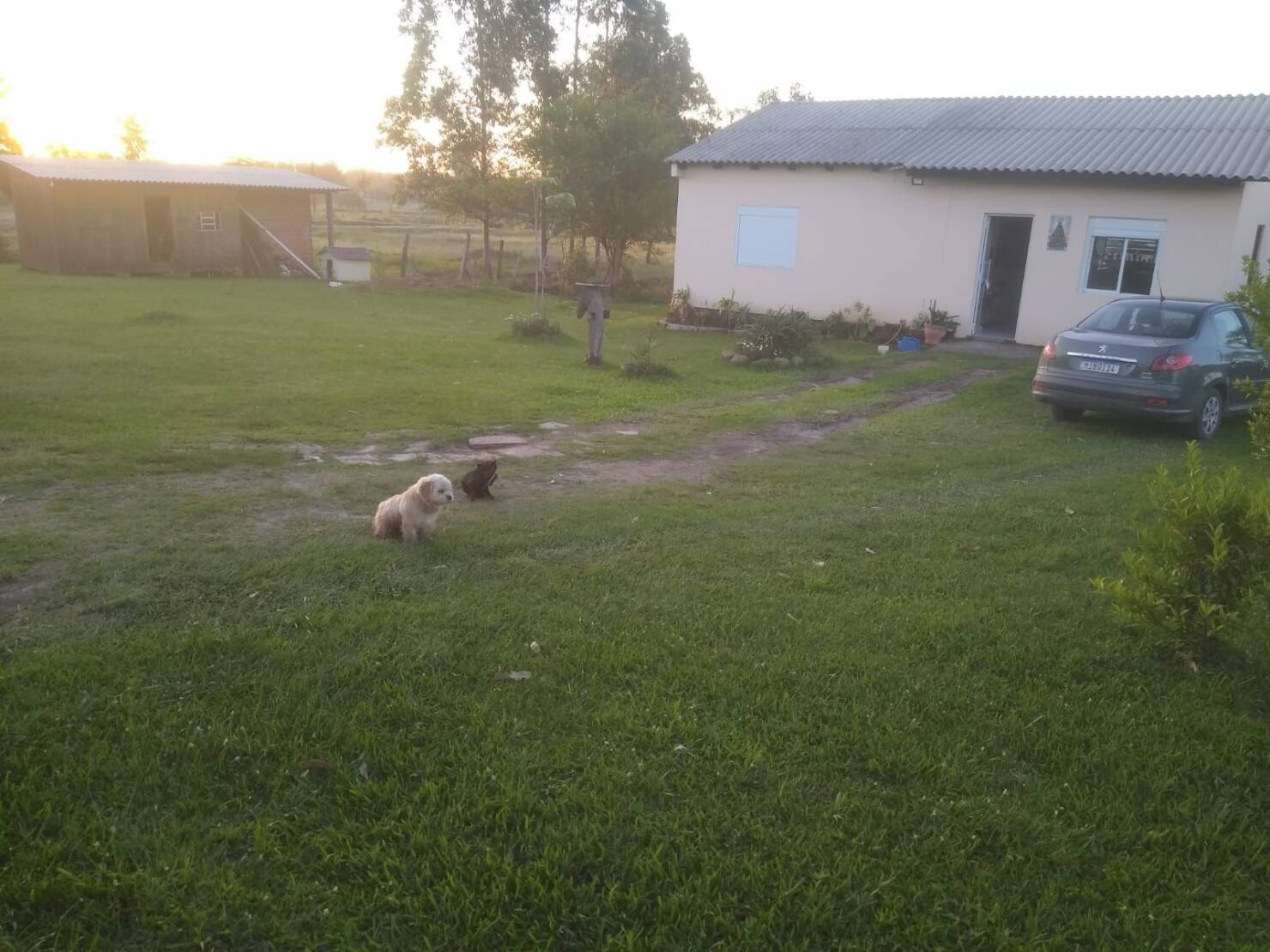 Chácara à venda com 2 quartos, 7546m² - Foto 19