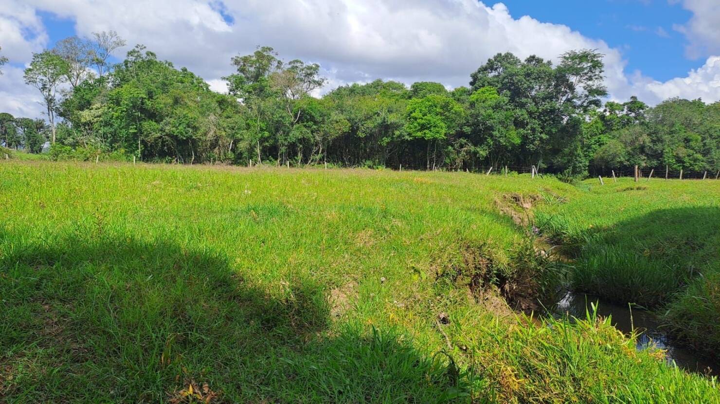 Terreno à venda, 30500m² - Foto 2