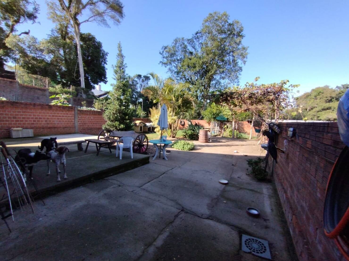 Casa, 3 quartos, 201 m² - Foto 26