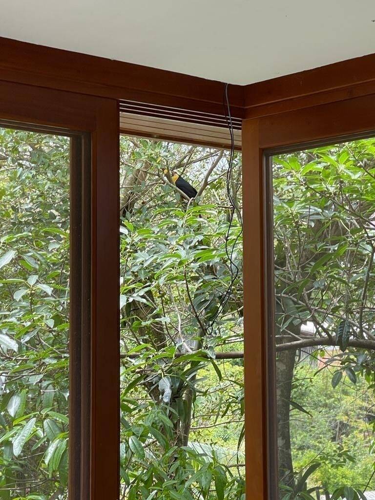 Casa para alugar com 3 quartos, 450m² - Foto 12