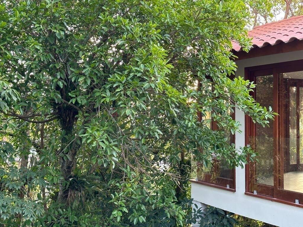 Casa para alugar com 3 quartos, 450m² - Foto 16