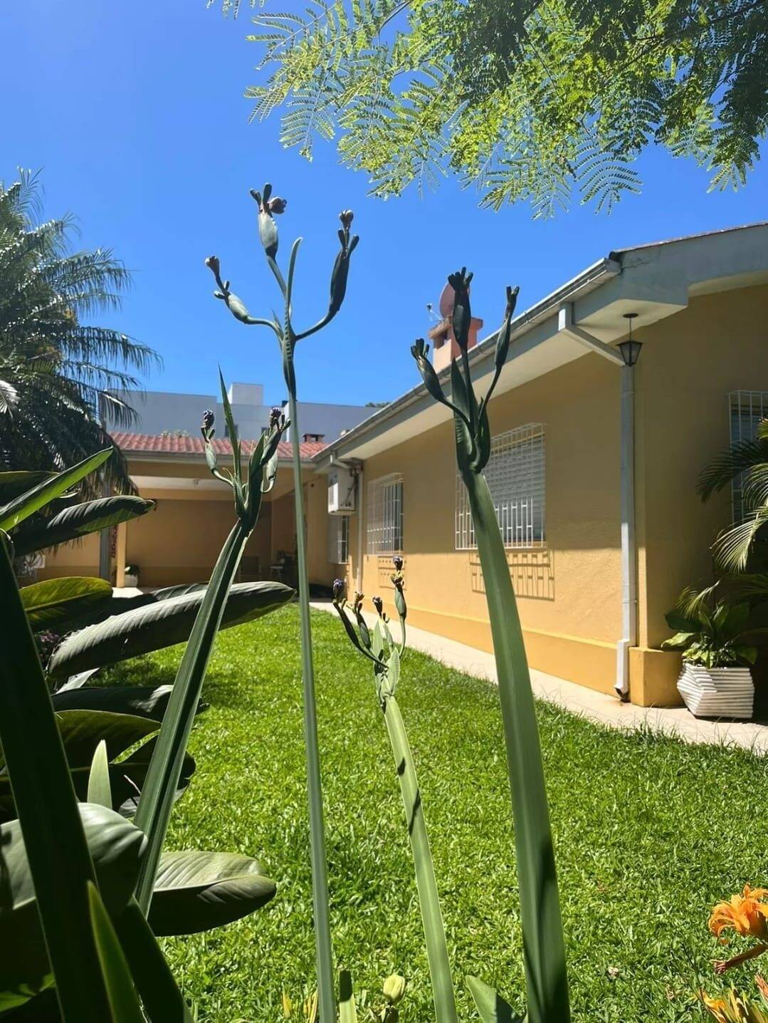 Casa à venda com 4 quartos, 22383m² - Foto 4