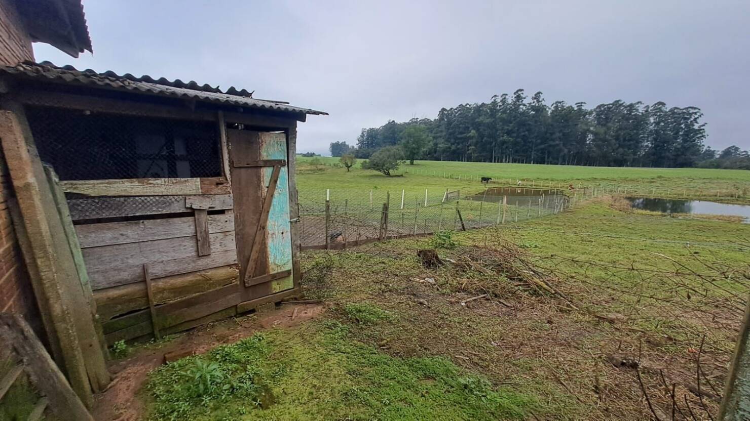 Terreno, 2000 m² - Foto 7