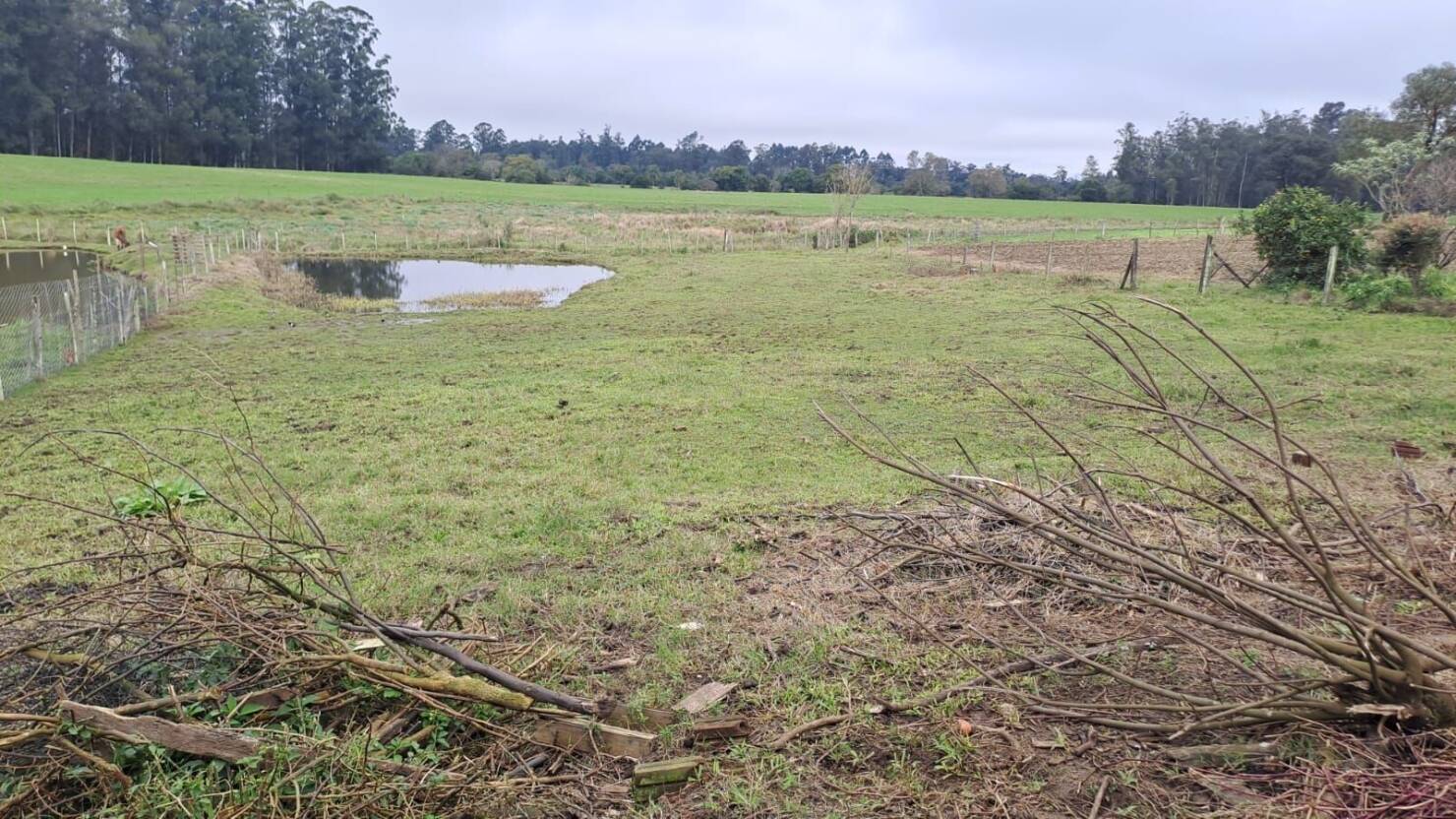 Terreno, 2000 m² - Foto 11