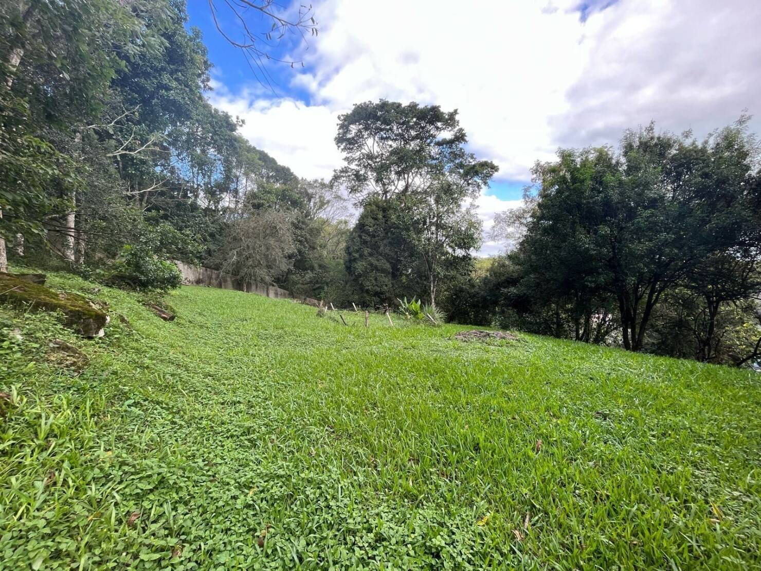 Terreno à venda, 2139m² - Foto 2