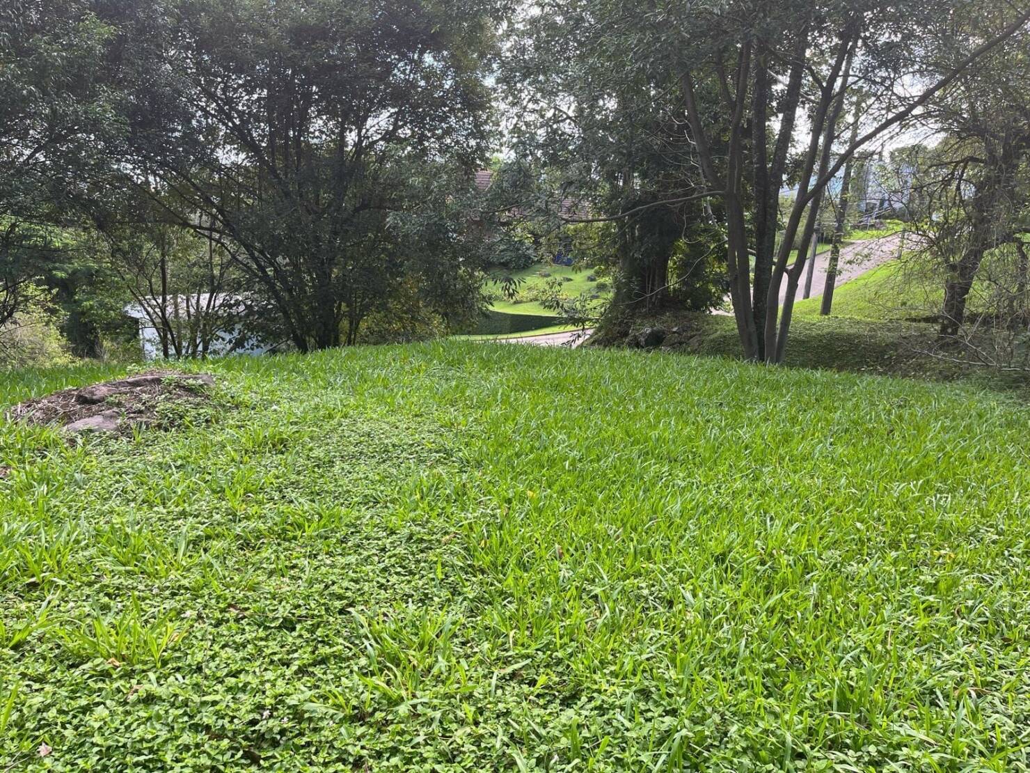 Terreno à venda, 2139m² - Foto 3