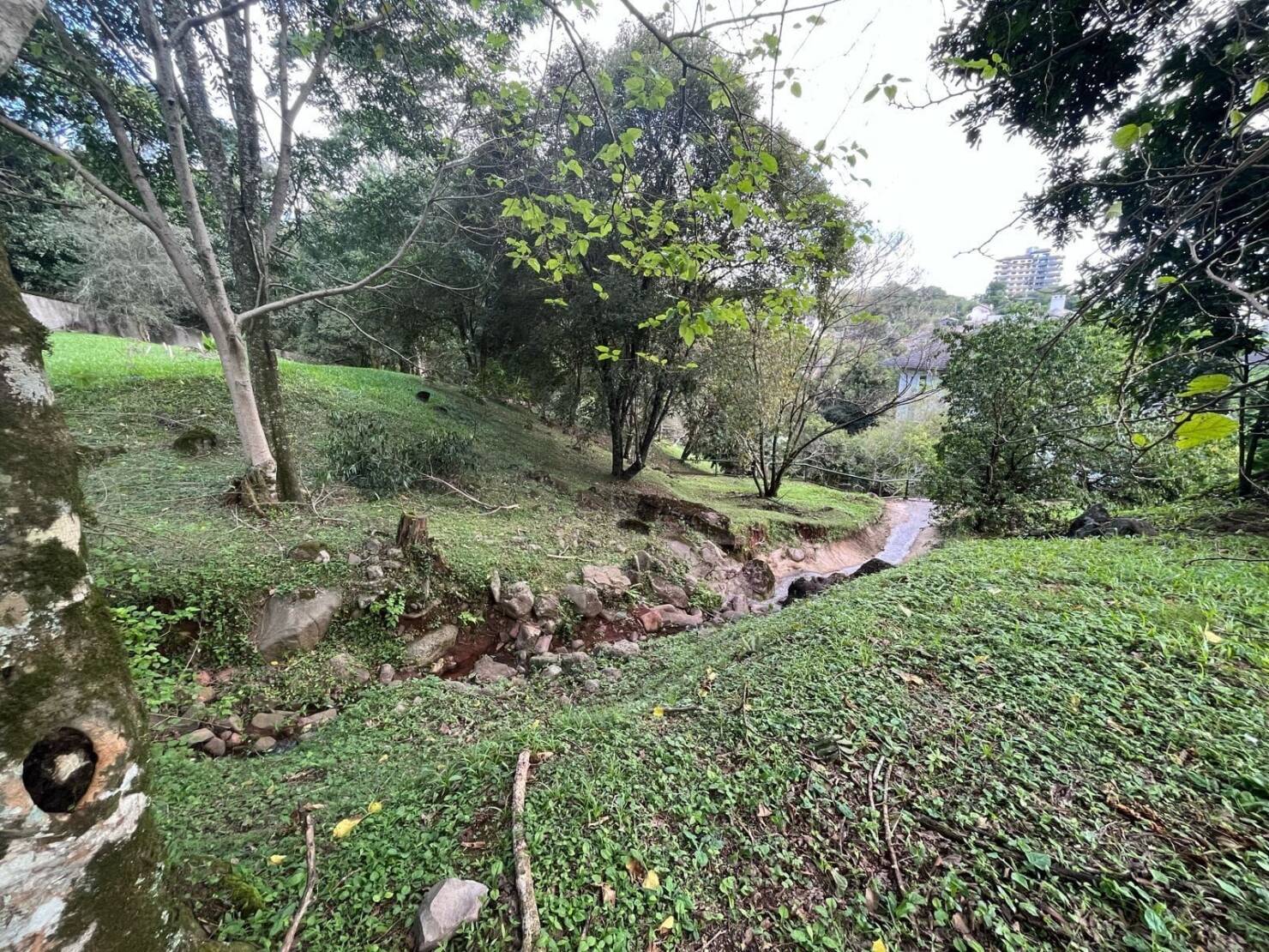 Terreno à venda, 2139m² - Foto 4
