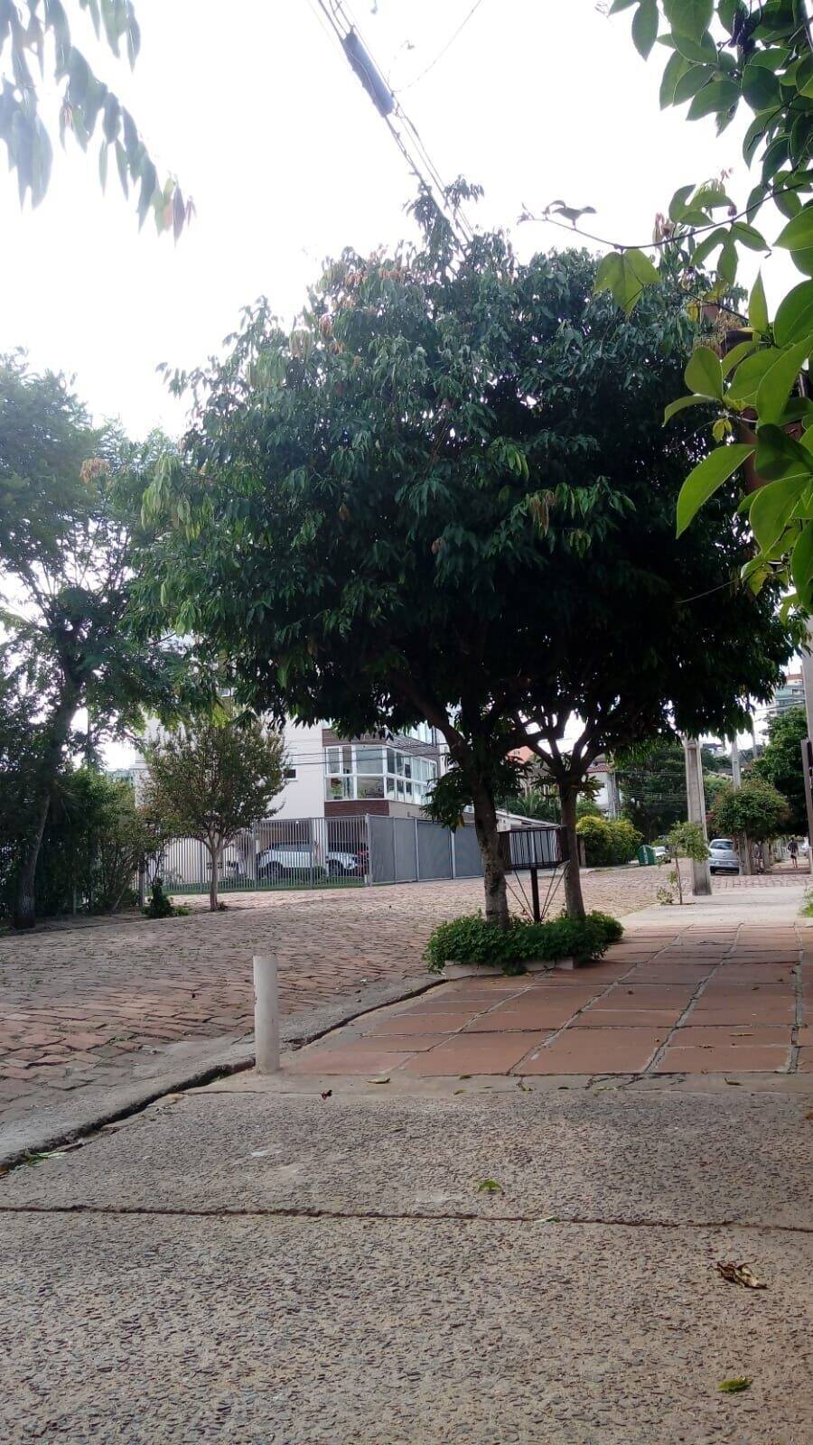 Casa, 3 quartos, 100 m² - Foto 10