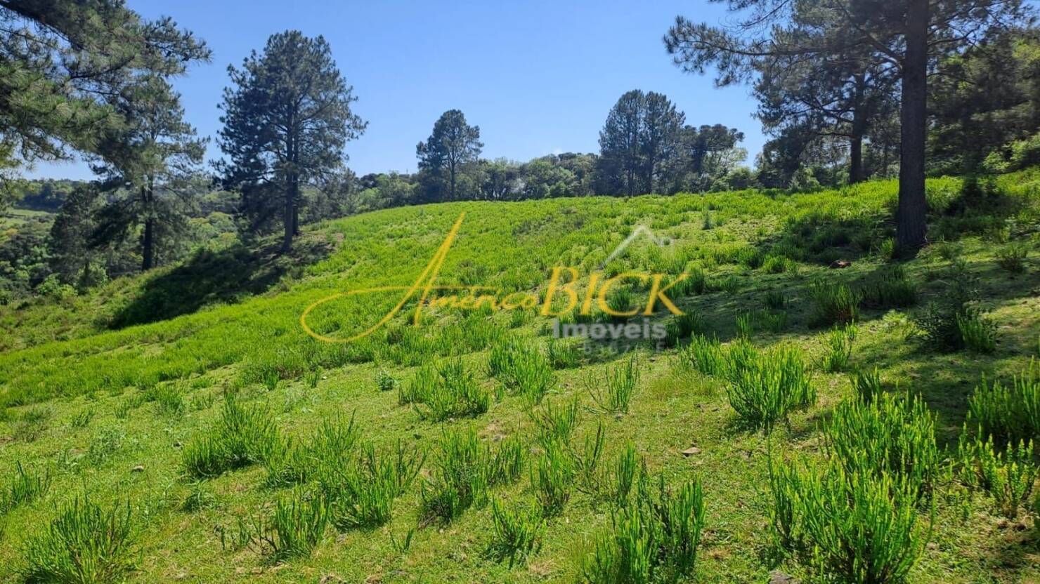 Chácara à venda com 2 quartos, 130m² - Foto 4