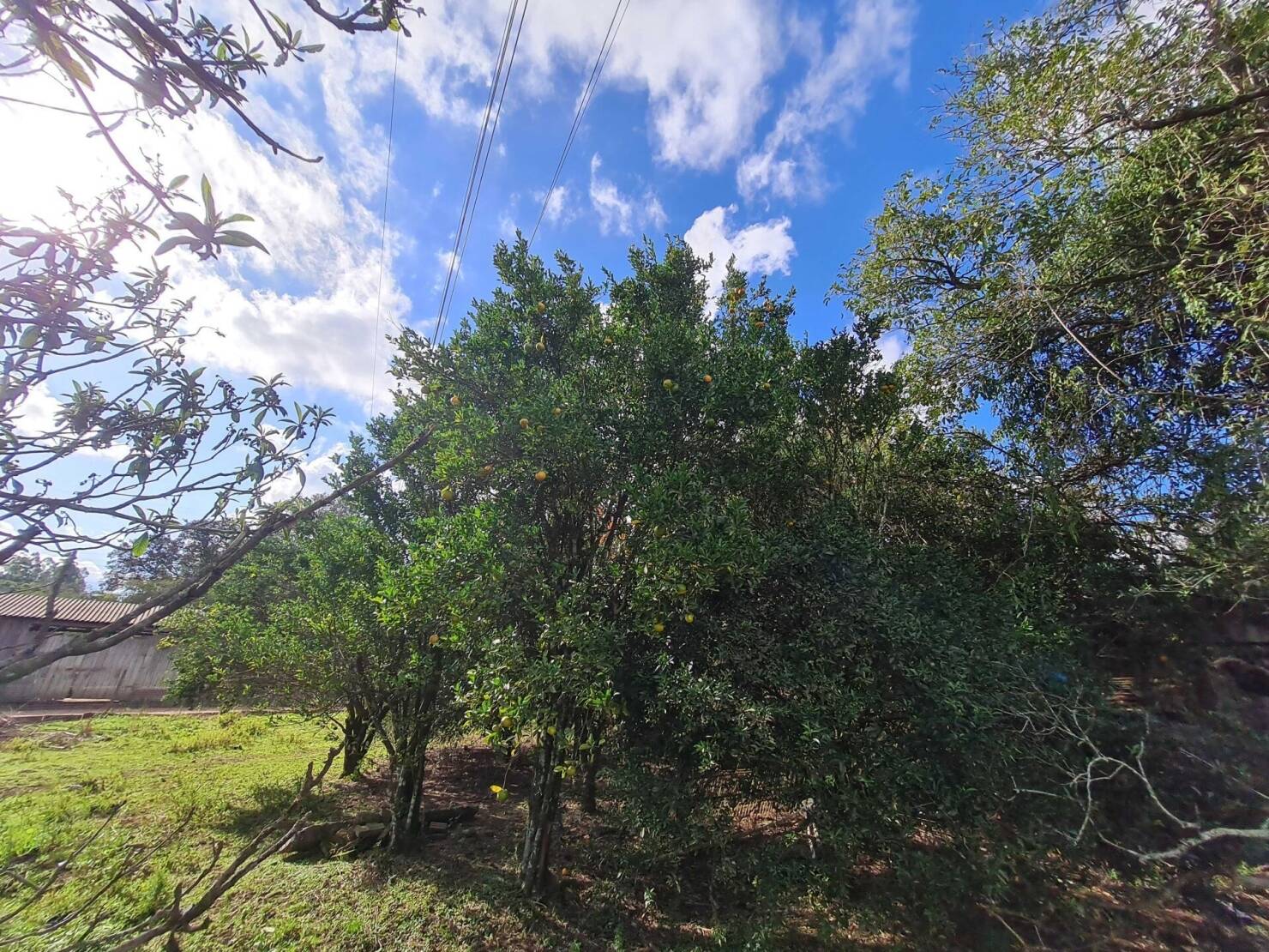 Chácara à venda com 3 quartos, 4840m² - Foto 14