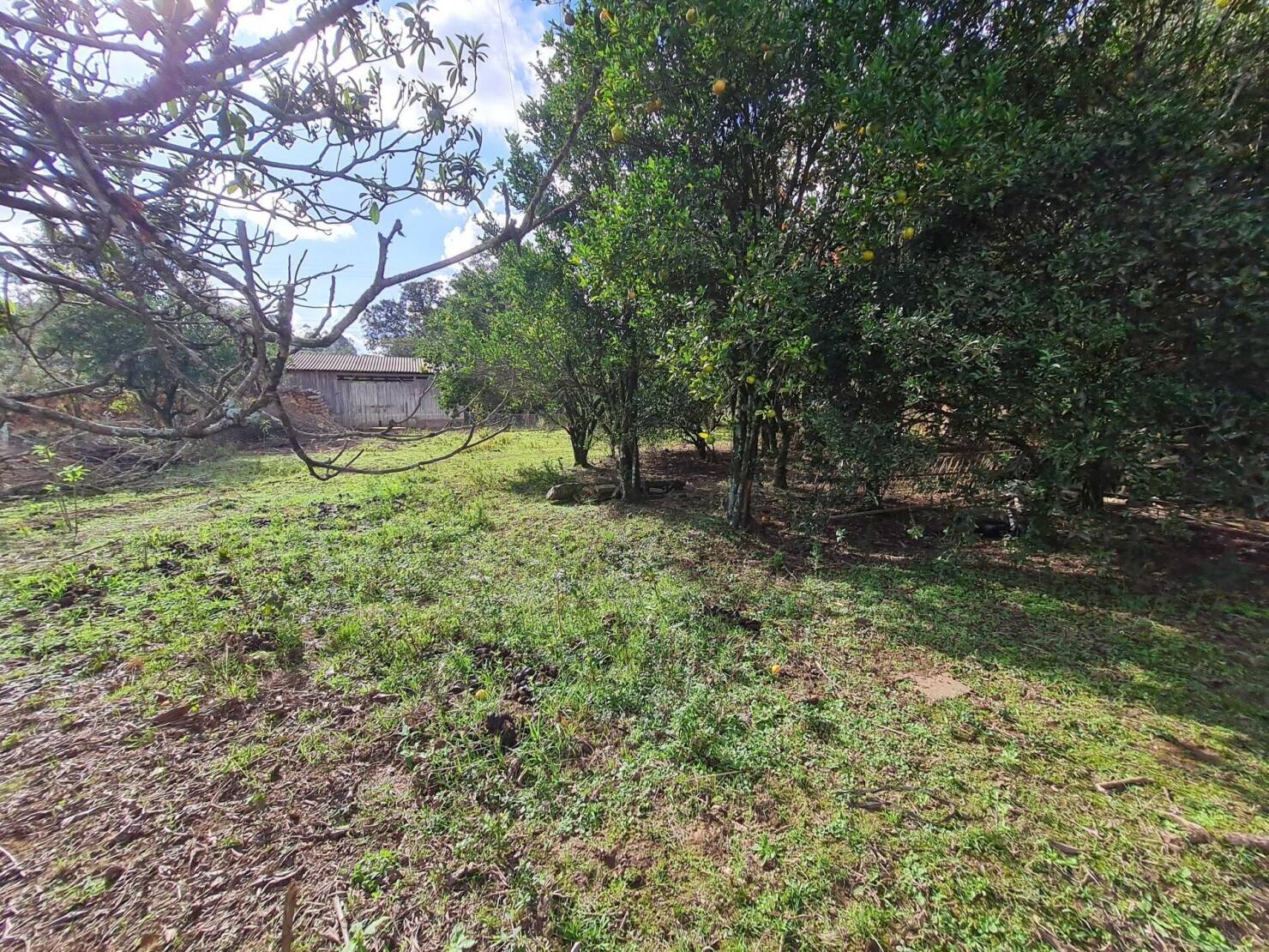 Chácara à venda com 3 quartos, 4840m² - Foto 16