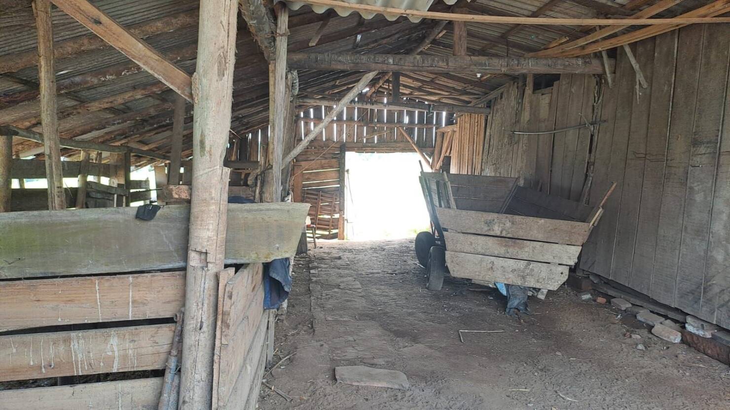 Fazenda à venda com 3 quartos, 100000m² - Foto 10