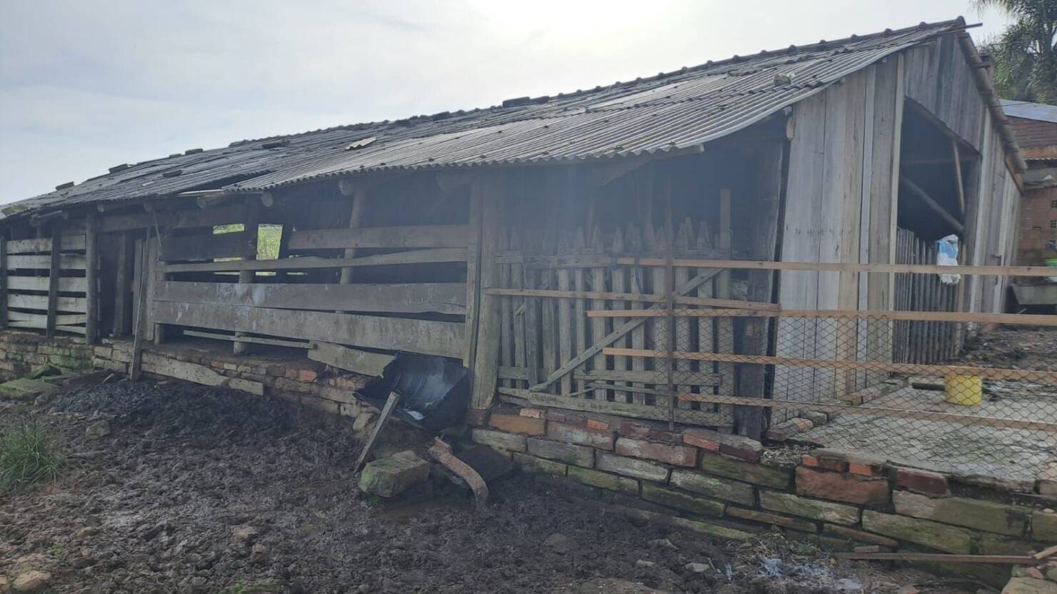 Fazenda à venda com 3 quartos, 100000m² - Foto 11
