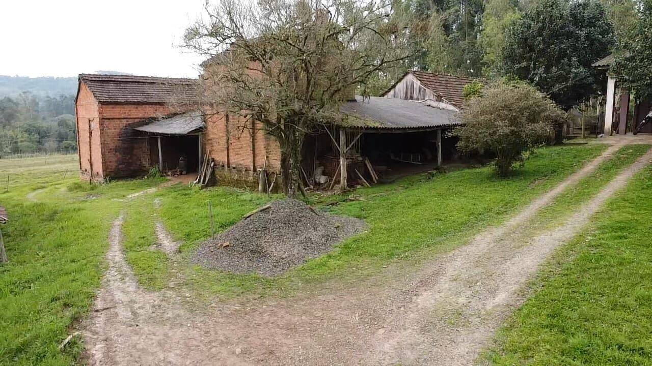 Fazenda à venda com 3 quartos, 180900m² - Foto 8