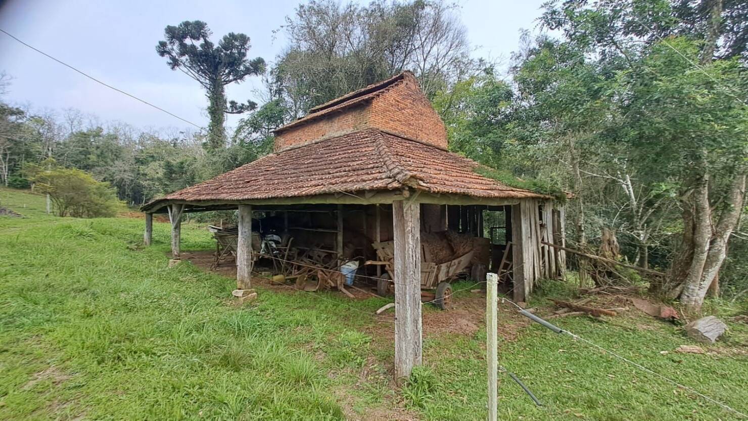 Fazenda à venda com 3 quartos, 180900m² - Foto 11
