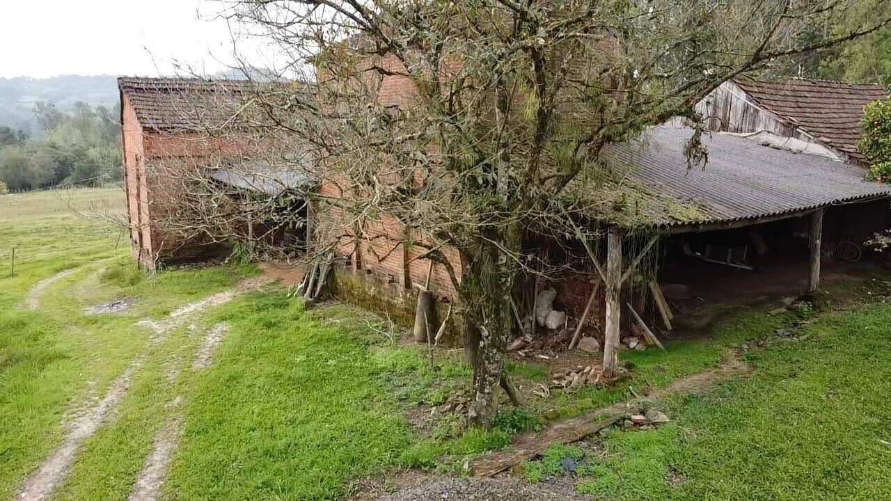 Fazenda à venda com 3 quartos, 180900m² - Foto 13