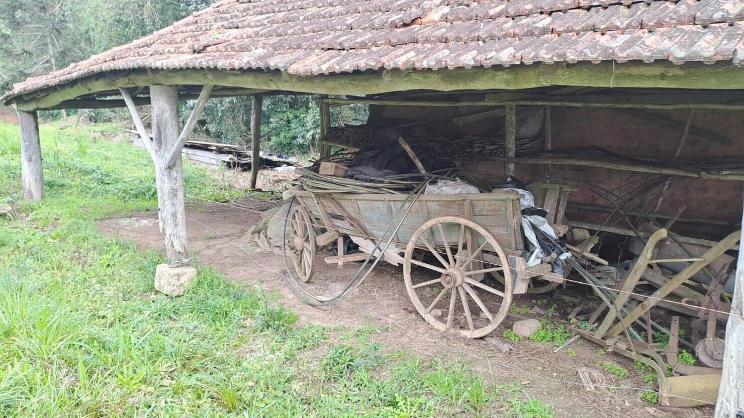 Fazenda à venda com 3 quartos, 180900m² - Foto 1