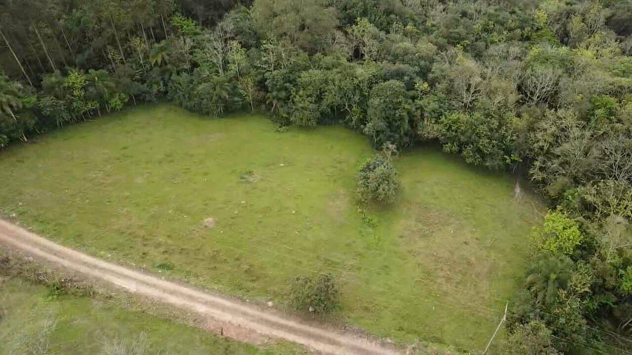 Fazenda à venda com 3 quartos, 180900m² - Foto 21