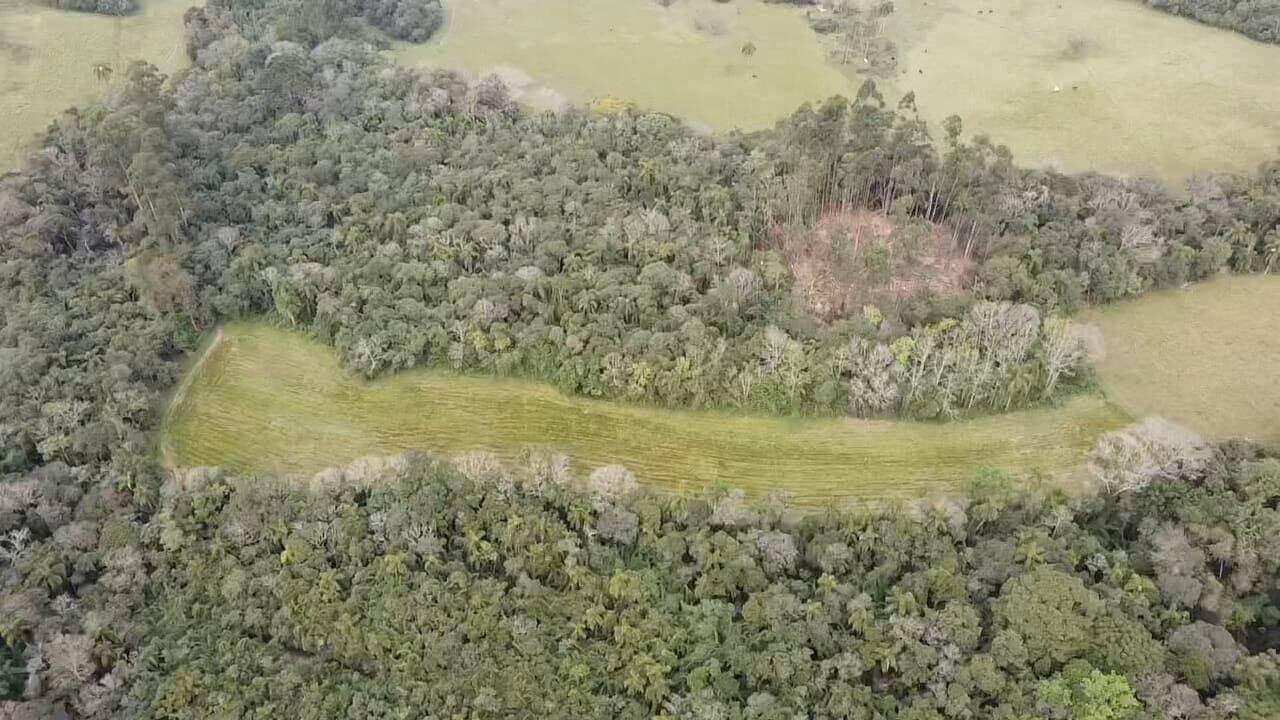 Fazenda à venda com 3 quartos, 180900m² - Foto 22