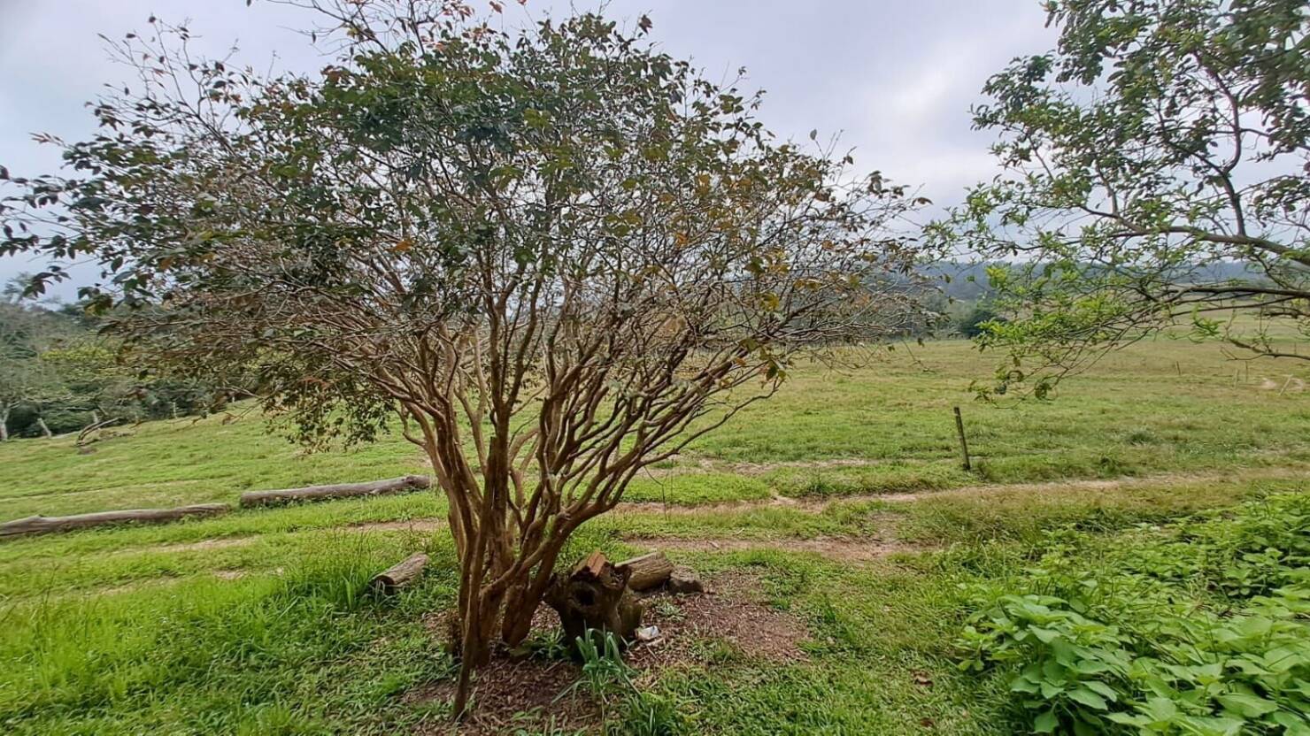 Fazenda à venda com 3 quartos, 180900m² - Foto 23