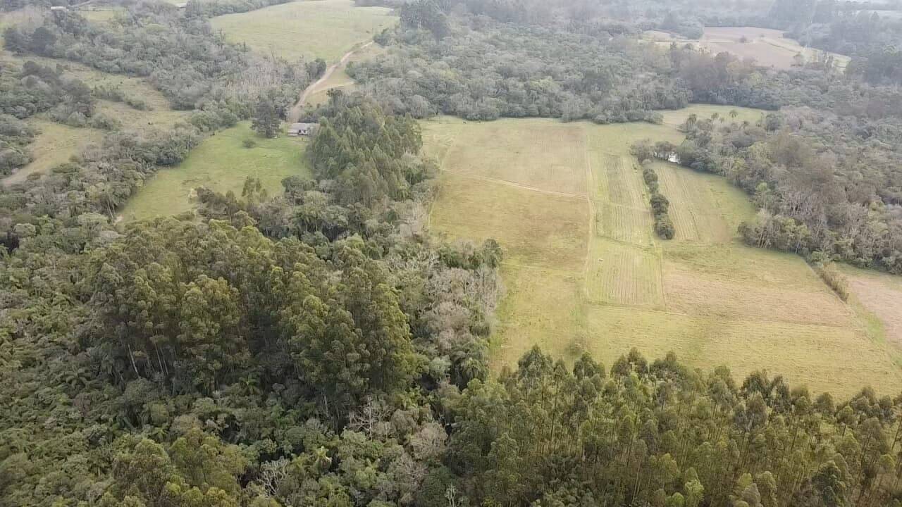 Fazenda à venda com 3 quartos, 180900m² - Foto 24