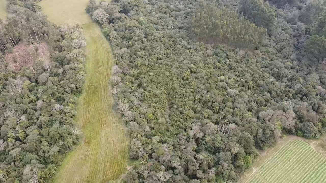Fazenda à venda com 3 quartos, 180900m² - Foto 25