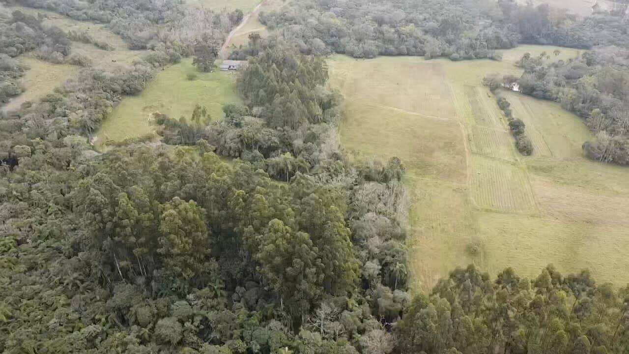 Fazenda à venda com 3 quartos, 180900m² - Foto 26