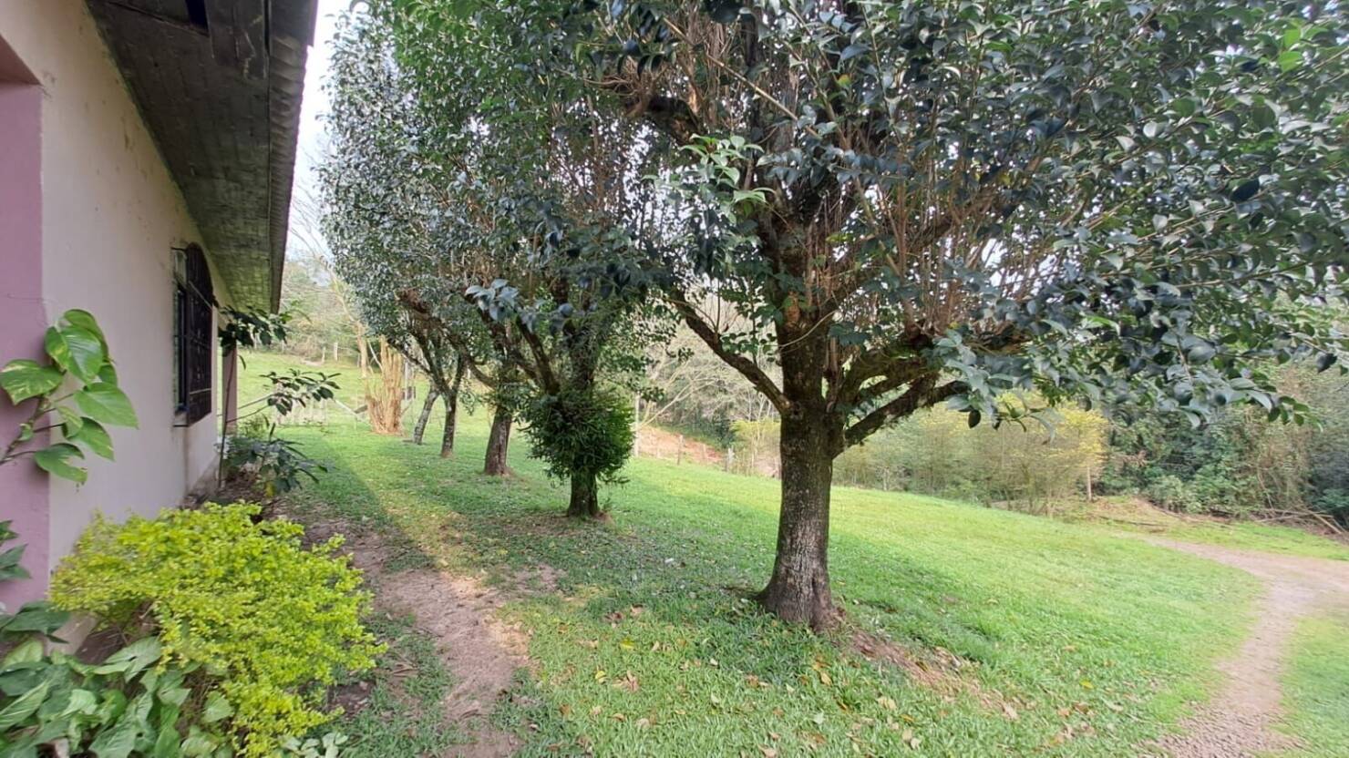 Fazenda à venda com 3 quartos, 180900m² - Foto 27