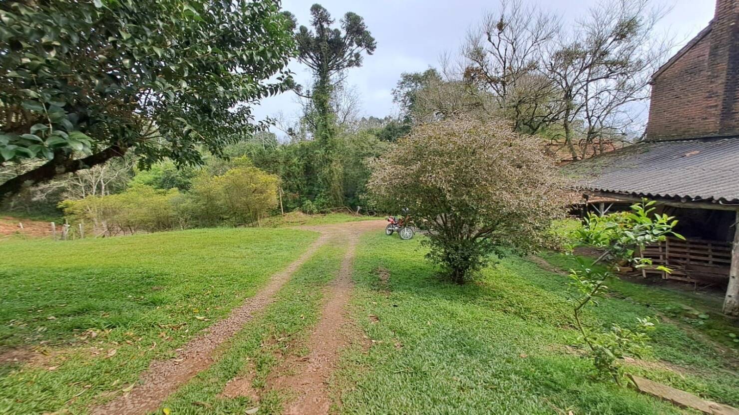 Fazenda à venda com 3 quartos, 180900m² - Foto 29