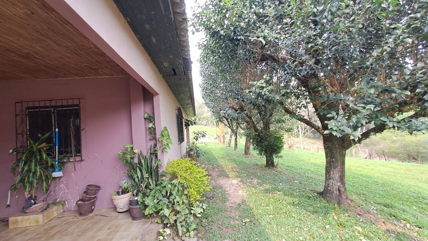 Fazenda à venda com 3 quartos, 180900m² - Foto 33