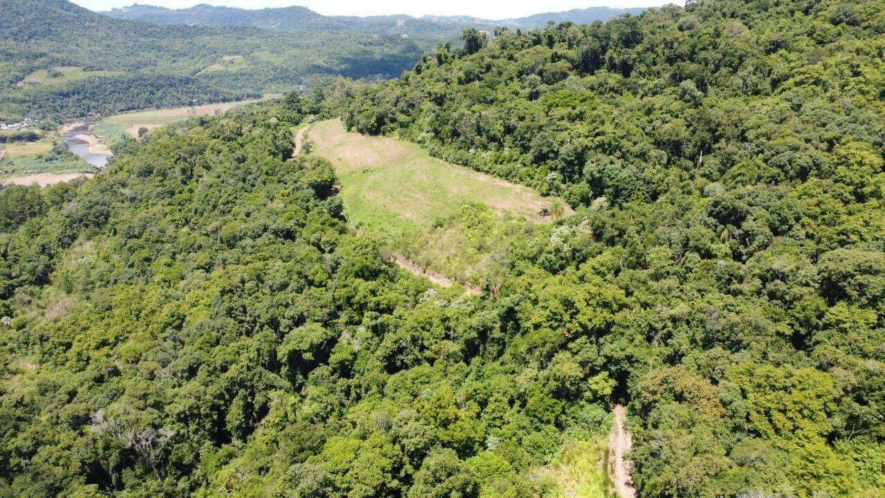 Terreno à venda, 11000m² - Foto 1