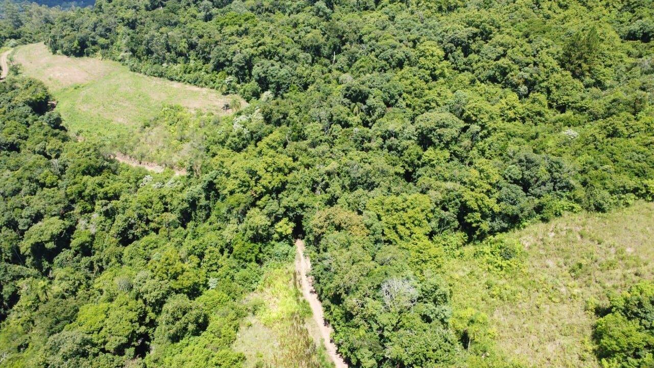 Terreno à venda, 11000m² - Foto 2