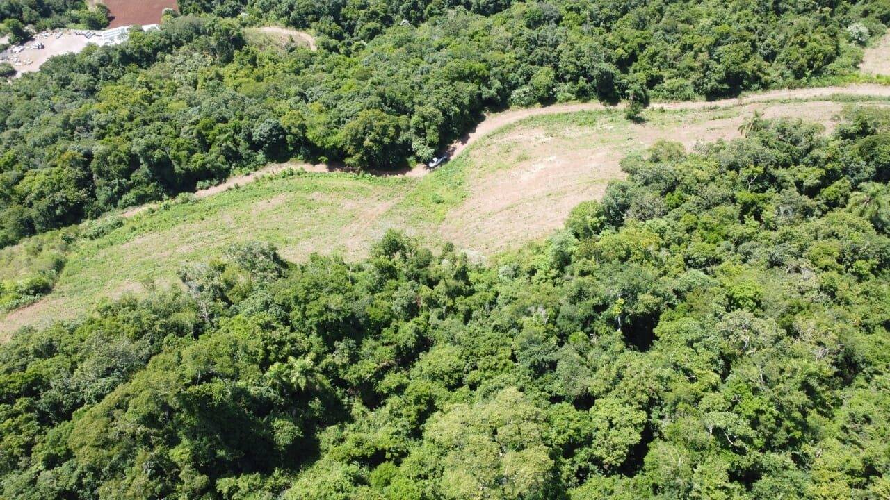 Terreno à venda, 11000m² - Foto 3