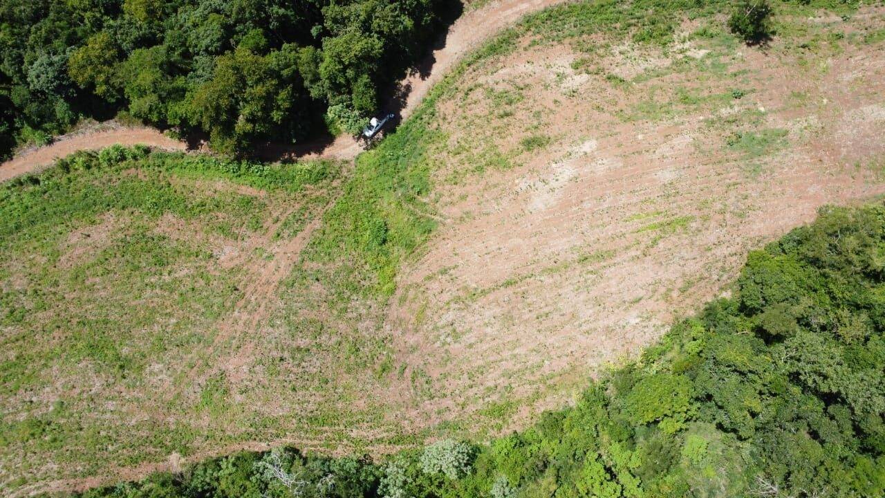 Terreno à venda, 11000m² - Foto 5