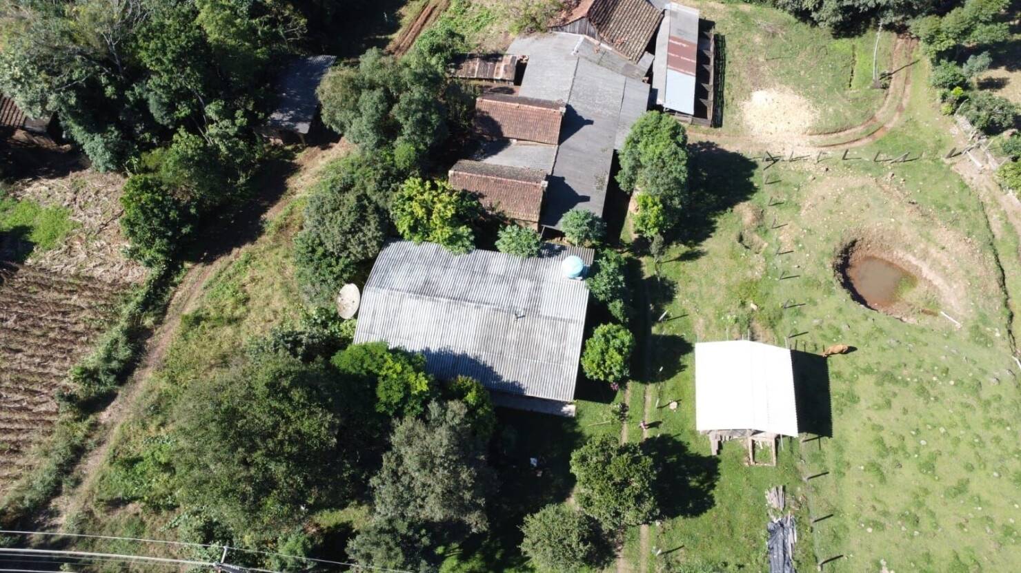 Fazenda à venda com 3 quartos, 50400m² - Foto 5