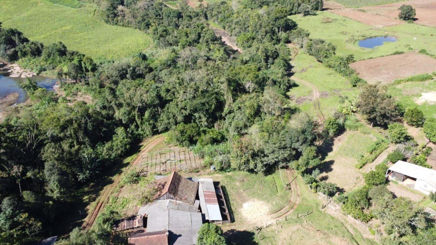 Fazenda à venda com 3 quartos, 50400m² - Foto 6