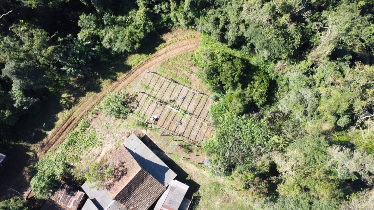 Fazenda à venda com 3 quartos, 50400m² - Foto 7