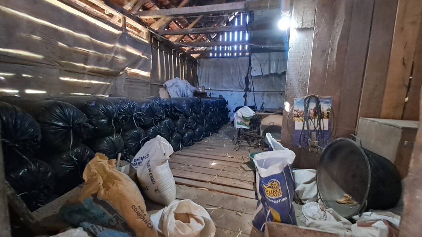 Fazenda à venda com 3 quartos, 50400m² - Foto 4