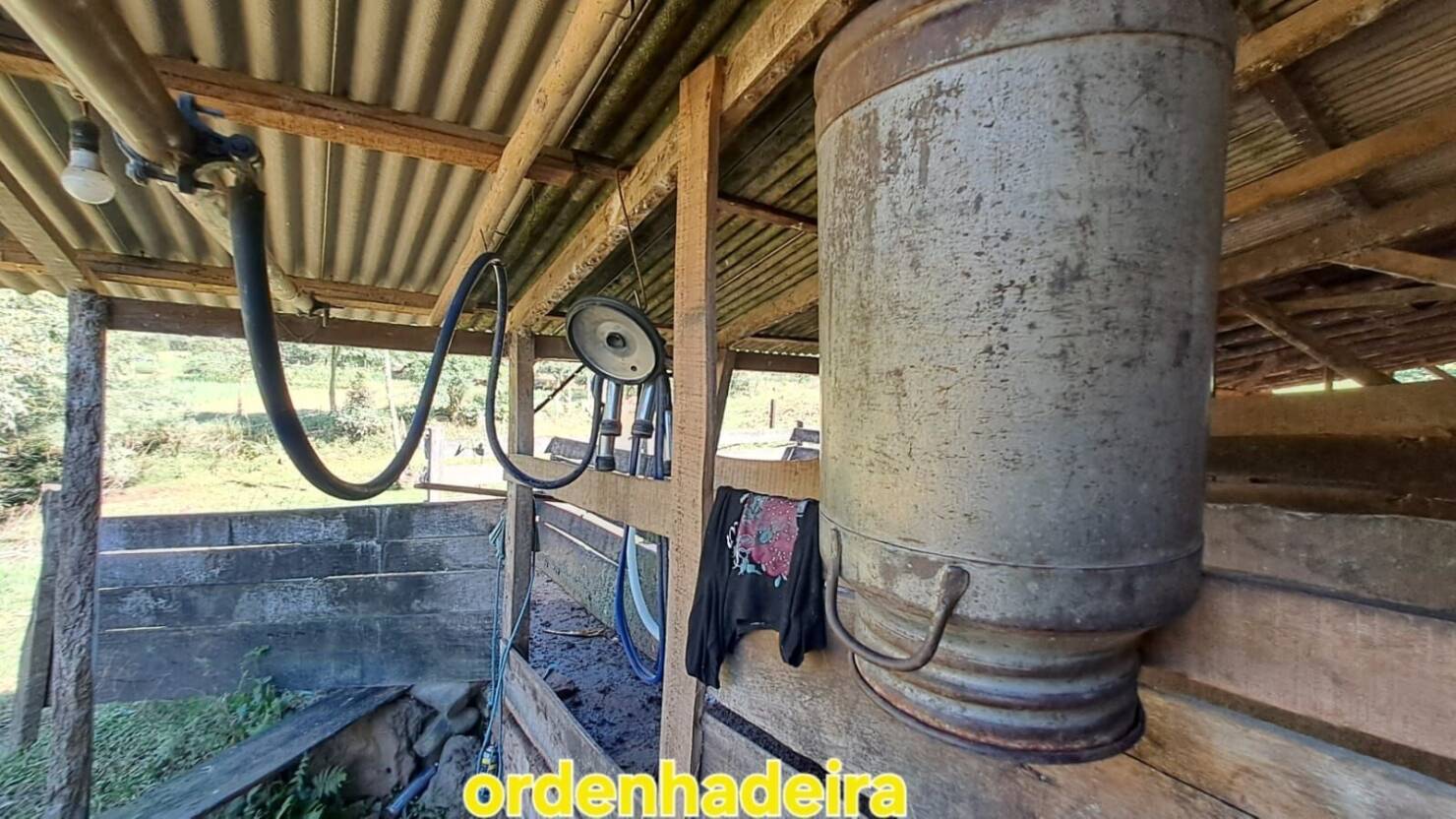 Fazenda à venda com 3 quartos, 50400m² - Foto 20