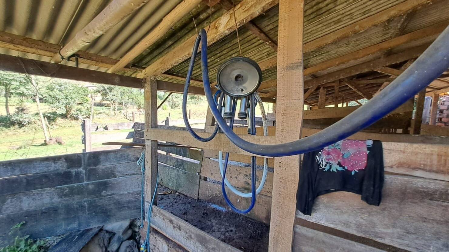 Fazenda à venda com 3 quartos, 50400m² - Foto 21