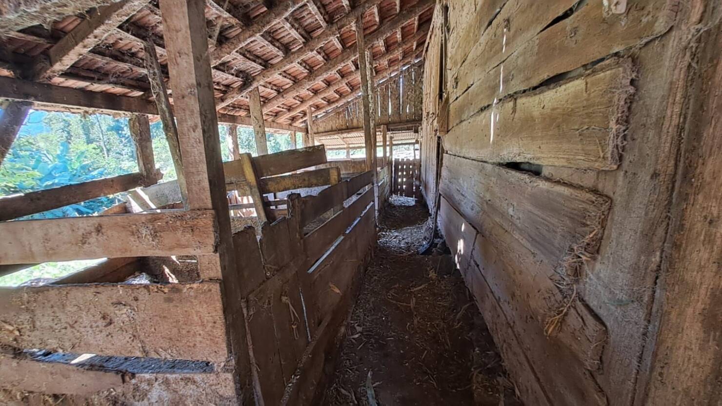 Fazenda à venda com 3 quartos, 50400m² - Foto 22